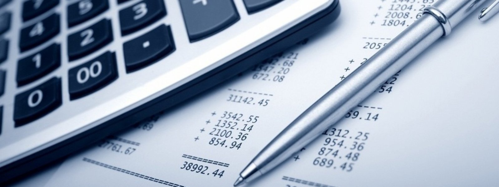 Esila M&uuml;şavirlik - Cem &Ouml;ZDENİZ - Mali M&uuml;şavir